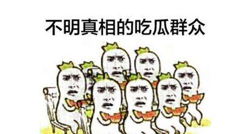 前排吃瓜群众小刘,揭秘娱乐圈幕后风云