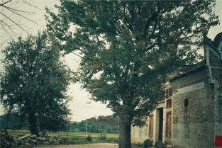 今日头条红安,红色热土，传承红色基因的红色之旅