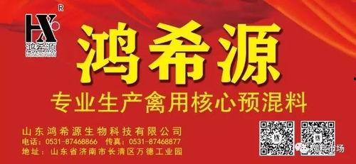 头条上全是养猪广告,广告铺天盖地